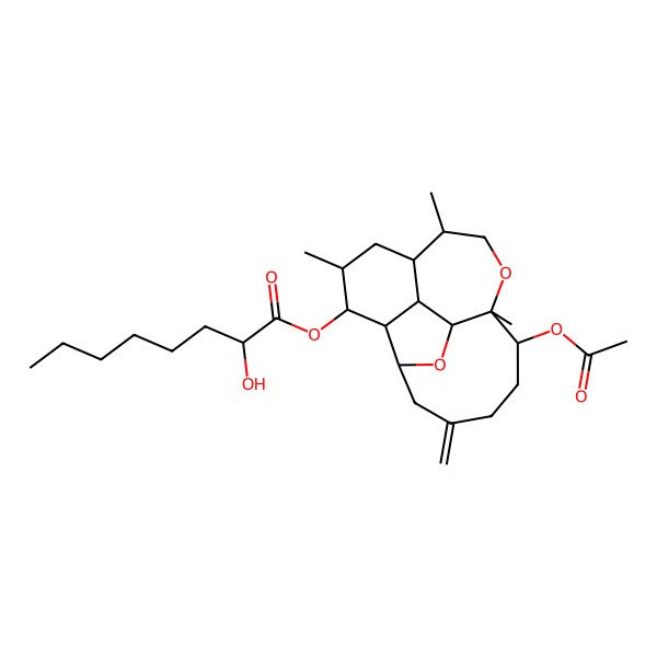 2D Structure of (12-Acetyloxy-5,8,11-trimethyl-15-methylidene-10,18-dioxatetracyclo[9.7.0.02,7.03,17]octadecan-4-yl) 2-hydroxyoctanoate
