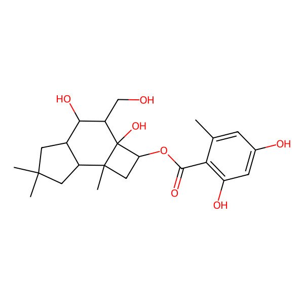 2D Structure of [(2R,2aR,3R,4R,4aR,7aS,7bR)-2a,4-dihydroxy-3-(hydroxymethyl)-6,6,7b-trimethyl-1,2,3,4,4a,5,7,7a-octahydrocyclobuta[e]inden-2-yl] 2,4-dihydroxy-6-methylbenzoate