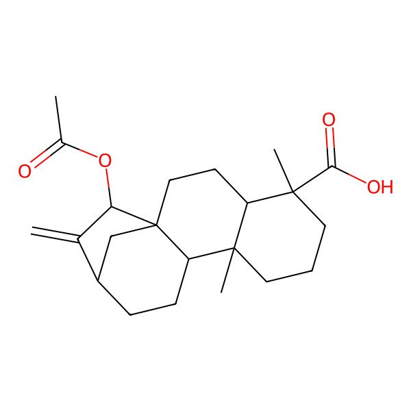 2D Structure of (1R,4R,5R,9S,10S,13R,15S)-15-acetyloxy-5,9-dimethyl-14-methylidenetetracyclo[11.2.1.01,10.04,9]hexadecane-5-carboxylic acid