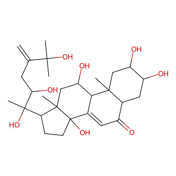 2D Structure of 2,3,11,14-tetrahydroxy-10,13-dimethyl-17-(2,3,6-trihydroxy-6-methyl-5-methylideneheptan-2-yl)-2,3,4,5,9,11,12,15,16,17-decahydro-1H-cyclopenta[a]phenanthren-6-one