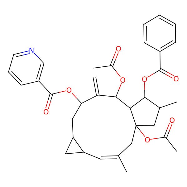 2D Structure of (1,11-Diacetyloxy-13-benzoyloxy-3,14-dimethyl-10-methylidene-9-tricyclo[10.3.0.05,7]pentadec-3-enyl) pyridine-3-carboxylate