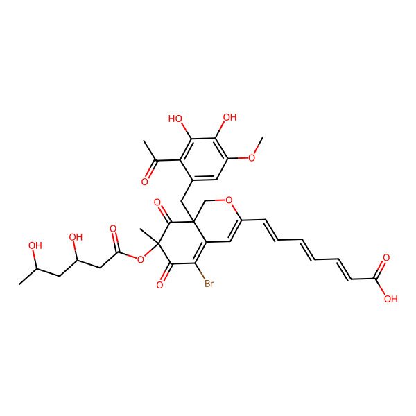 2D Structure of 7-[8a-[(2-acetyl-3,4-dihydroxy-5-methoxyphenyl)methyl]-5-bromo-7-(3,5-dihydroxyhexanoyloxy)-7-methyl-6,8-dioxo-1H-isochromen-3-yl]hepta-2,4,6-trienoic acid