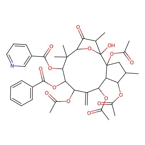 2D Structure of (2,5,7,9-Tetraacetyloxy-10-benzoyloxy-1-hydroxy-4,12,12,15-tetramethyl-8-methylidene-14-oxo-16-oxatricyclo[11.2.1.02,6]hexadecan-11-yl) pyridine-3-carboxylate