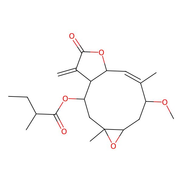 2D Structure of (8-Methoxy-4,9-dimethyl-14-methylidene-13-oxo-5,12-dioxatricyclo[9.3.0.04,6]tetradec-9-en-2-yl) 2-methylbutanoate