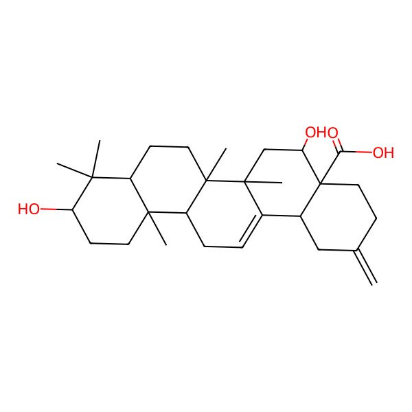 2D Structure of (4aR,5S,6aR,6aS,6bR,8aR,10S,12aR,14bS)-5,10-dihydroxy-6a,6b,9,9,12a-pentamethyl-2-methylidene-1,3,4,5,6,6a,7,8,8a,10,11,12,13,14b-tetradecahydropicene-4a-carboxylic acid
