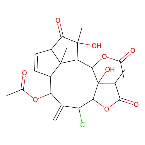 2D Structure of [(1S,2S,3R,4R,7R,8S,10S,11S,14R,16S,17R)-2-acetyloxy-8-chloro-3,16-dihydroxy-4,16,17-trimethyl-9-methylidene-5,15-dioxo-6-oxatetracyclo[9.5.1.03,7.014,17]heptadec-12-en-10-yl] acetate