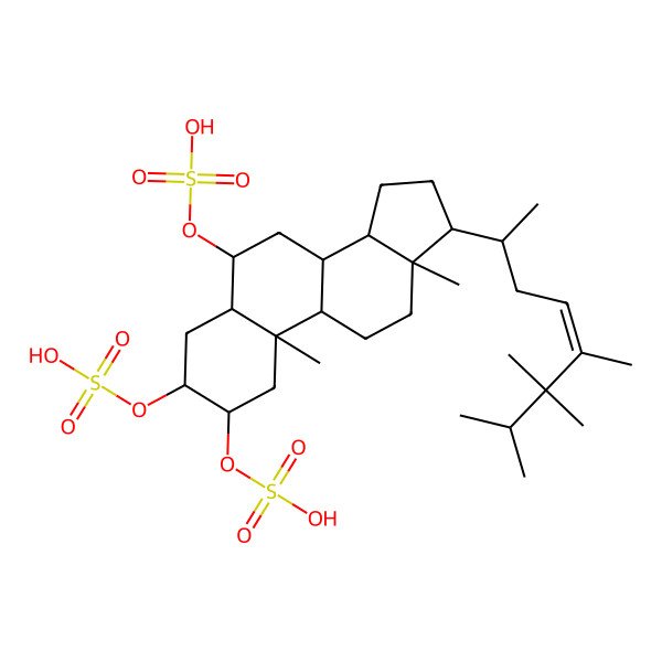 2D Structure of [(2S,3S,5S,6S,8S,9S,10R,13R,14S,17R)-10,13-dimethyl-2,3-disulfooxy-17-[(E,2R)-5,6,6,7-tetramethyloct-4-en-2-yl]-2,3,4,5,6,7,8,9,11,12,14,15,16,17-tetradecahydro-1H-cyclopenta[a]phenanthren-6-yl] hydrogen sulfate