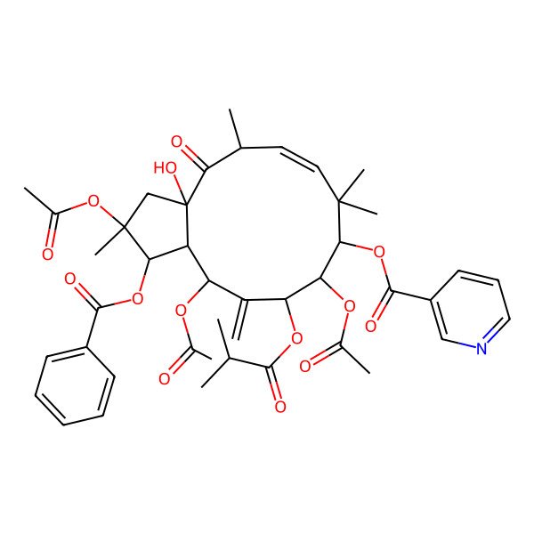2D Structure of [2,10,13-Triacetyloxy-1-benzoyloxy-3a-hydroxy-2,5,8,8-tetramethyl-12-methylidene-11-(2-methylpropanoyloxy)-4-oxo-1,3,5,9,10,11,13,13a-octahydrocyclopenta[12]annulen-9-yl] pyridine-3-carboxylate