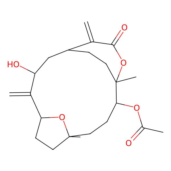 2D Structure of [(1S,3S,5S,8R,11R,12S)-3-hydroxy-8,12-dimethyl-4,15-dimethylidene-14-oxo-13,18-dioxatricyclo[10.3.2.15,8]octadecan-11-yl] acetate