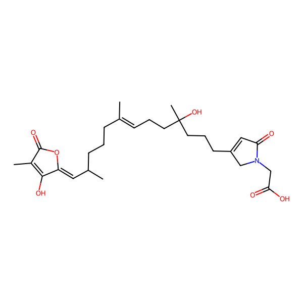 2D Structure of 2-[3-[(12S,13Z)-4-hydroxy-13-(3-hydroxy-4-methyl-5-oxofuran-2-ylidene)-4,8,12-trimethyltridec-7-enyl]-5-oxo-2H-pyrrol-1-yl]acetic acid