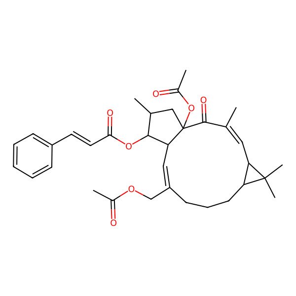 2D Structure of [1-Acetyloxy-11-(acetyloxymethyl)-3,6,6,15-tetramethyl-2-oxo-14-tricyclo[11.3.0.05,7]hexadeca-3,11-dienyl] 3-phenylprop-2-enoate