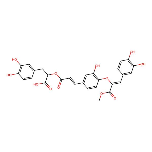 2D Structure of (2R)-3-(3,4-dihydroxyphenyl)-2-[(E)-3-[4-[(Z)-1-(3,4-dihydroxyphenyl)-3-methoxy-3-oxoprop-1-en-2-yl]oxy-3-hydroxyphenyl]prop-2-enoyl]oxypropanoic acid