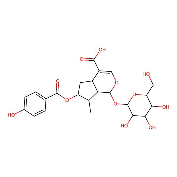 2D Structure of (1S,4aS,6S,7S,7aS)-6-(4-hydroxybenzoyl)oxy-7-methyl-1-[(2S,3R,4S,5S,6R)-3,4,5-trihydroxy-6-(hydroxymethyl)oxan-2-yl]oxy-1,4a,5,6,7,7a-hexahydrocyclopenta[c]pyran-4-carboxylic acid