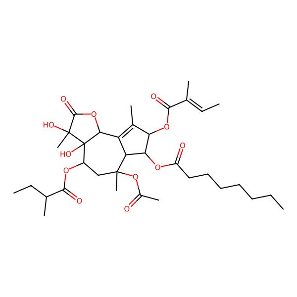 2D Structure of [(3R,3aS,4R,6R,6aS,7R,8R,9bR)-6-acetyloxy-3,3a-dihydroxy-3,6,9-trimethyl-4-[(2R)-2-methylbutanoyl]oxy-8-[(Z)-2-methylbut-2-enoyl]oxy-2-oxo-4,5,6a,7,8,9b-hexahydroazuleno[4,5-b]furan-7-yl] octanoate