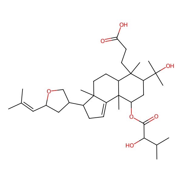 2D Structure of 3-[(3S,3aS,5aR,6S,7R,9R,9aR)-9-[(2R)-2-hydroxy-3-methylbutanoyl]oxy-7-(2-hydroxypropan-2-yl)-3a,6,9a-trimethyl-3-[(3S,5S)-5-(2-methylprop-1-enyl)oxolan-3-yl]-2,3,4,5,5a,7,8,9-octahydrocyclopenta[a]naphthalen-6-yl]propanoic acid