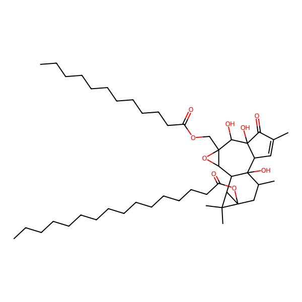 2D Structure of [(1R,2S,4R,5S,6S,10S,11R,12R,14S,16R)-4-(dodecanoyloxymethyl)-5,6,11-trihydroxy-8,12,15,15-tetramethyl-7-oxo-3-oxapentacyclo[9.5.0.02,4.06,10.014,16]hexadec-8-en-14-yl] hexadecanoate