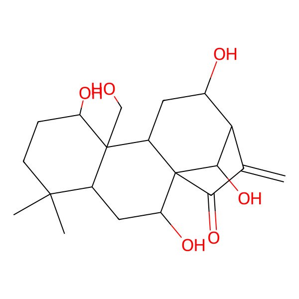 2D Structure of (4R,10S,16R)-2,8,12,16-tetrahydroxy-9-(hydroxymethyl)-5,5-dimethyl-14-methylidenetetracyclo[11.2.1.01,10.04,9]hexadecan-15-one