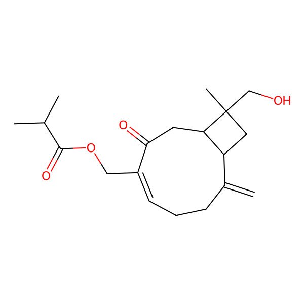 2D Structure of [11-(Hydroxymethyl)-11-methyl-8-methylidene-3-oxo-4-bicyclo[7.2.0]undec-4-enyl]methyl 2-methylpropanoate