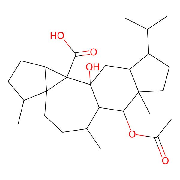 2D Structure of 12-Acetyloxy-1-hydroxy-6,10,13-trimethyl-16-propan-2-ylpentacyclo[9.7.0.02,7.03,7.013,17]octadecane-2-carboxylic acid
