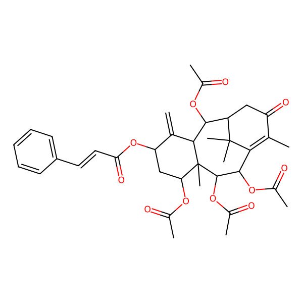 2D Structure of [(2R,3R,5S,7S,8S,9R,10R)-2,7,9,10-tetraacetyloxy-8,12,15,15-tetramethyl-4-methylidene-13-oxo-5-tricyclo[9.3.1.03,8]pentadec-11-enyl] (E)-3-phenylprop-2-enoate