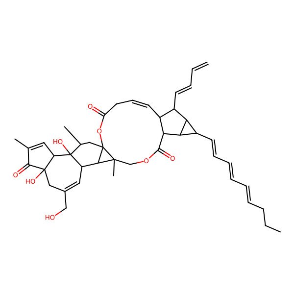2D Structure of (1S,5E,7R,8S,9R,10R,11R,12R,16S,17R,18S,22R,26S,27R,28R)-8-[(1Z)-buta-1,3-dienyl]-22,27-dihydroxy-20-(hydroxymethyl)-16,24,28-trimethyl-10-[(1E,3E,5E)-nona-1,3,5-trienyl]-2,14-dioxaheptacyclo[14.13.0.01,17.07,12.09,11.018,27.022,26]nonacosa-5,19,24-triene-3,13,23-trione