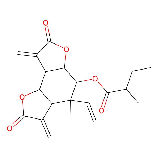 2D Structure of [(3aS,4R,5S,5aS,8aS,8bR)-4-ethenyl-4-methyl-3,8-dimethylidene-2,7-dioxo-5,5a,8a,8b-tetrahydro-3aH-furo[2,3-g][1]benzofuran-5-yl] (2S)-2-methylbutanoate