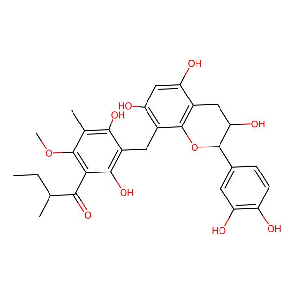 2D Structure of (2R)-1-[3-[[(2R,3S)-2-(3,4-dihydroxyphenyl)-3,5,7-trihydroxy-3,4-dihydro-2H-chromen-8-yl]methyl]-2,4-dihydroxy-6-methoxy-5-methylphenyl]-2-methylbutan-1-one