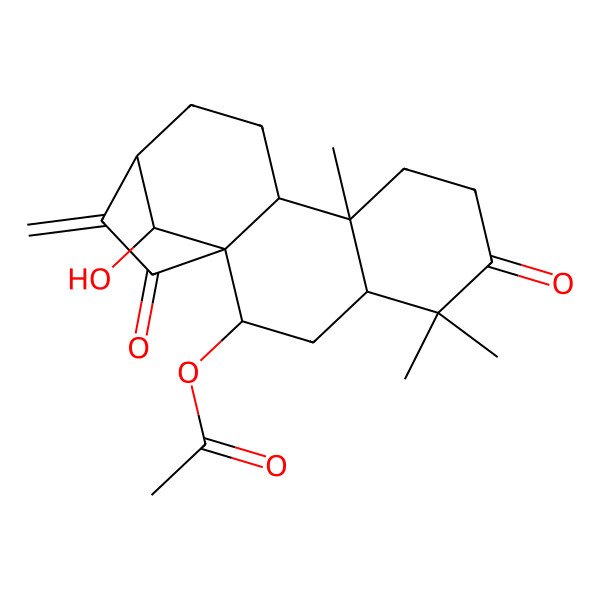 2D Structure of (16-Hydroxy-5,5,9-trimethyl-14-methylidene-6,15-dioxo-2-tetracyclo[11.2.1.01,10.04,9]hexadecanyl) acetate