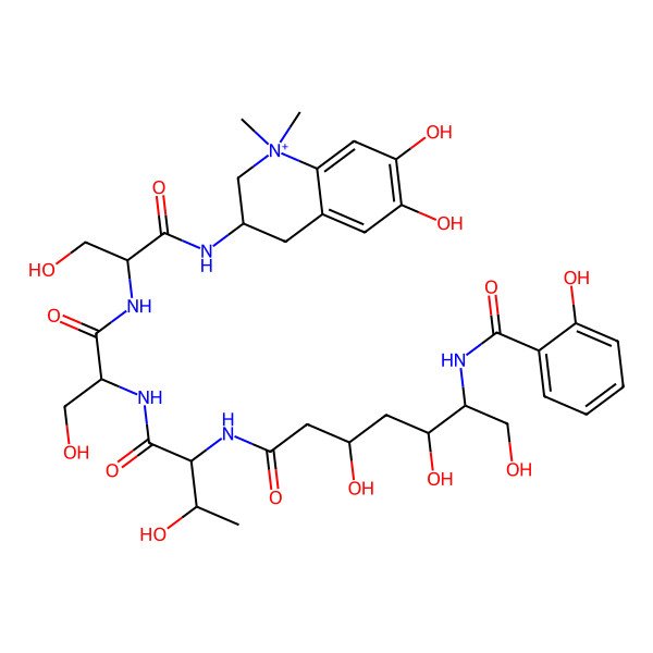2D Structure of N-[7-[[1-[[1-[[1-[(6,7-dihydroxy-1,1-dimethyl-3,4-dihydro-2H-quinolin-1-ium-3-yl)amino]-3-hydroxy-1-oxopropan-2-yl]amino]-3-hydroxy-1-oxopropan-2-yl]amino]-3-hydroxy-1-oxobutan-2-yl]amino]-1,3,5-trihydroxy-7-oxoheptan-2-yl]-2-hydroxybenzamide
