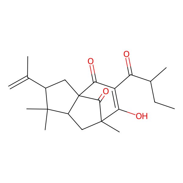 2D Structure of 8-Hydroxy-4,4,7-trimethyl-9-(2-methylbutanoyl)-3-prop-1-en-2-yltricyclo[5.3.1.01,5]undec-8-ene-10,11-dione