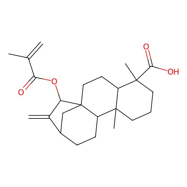 2D Structure of (1R,4S,5R,9S,10S,13R,15S)-5,9-dimethyl-14-methylidene-15-(2-methylprop-2-enoyloxy)tetracyclo[11.2.1.01,10.04,9]hexadecane-5-carboxylic acid