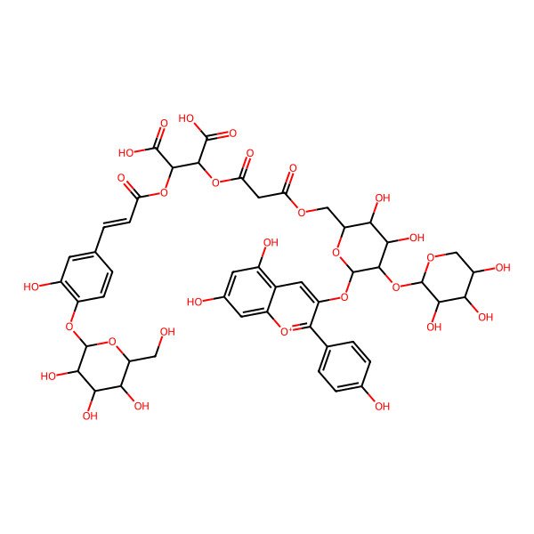 2D Structure of (6''-O-(Pelargonidin 3-O-[2''-O-(beta-D-xylopyranosyl)-beta-D-galactopyranosyl]))((4-O-(beta-D-glucopyranosyl-trans-caffeoyl)-O-tartaryl)malonate