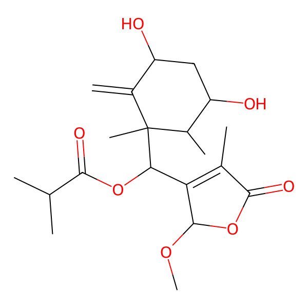 2D Structure of [(3,5-dihydroxy-1,2-dimethyl-6-methylidenecyclohexyl)-(2-methoxy-4-methyl-5-oxo-2H-furan-3-yl)methyl] 2-methylpropanoate