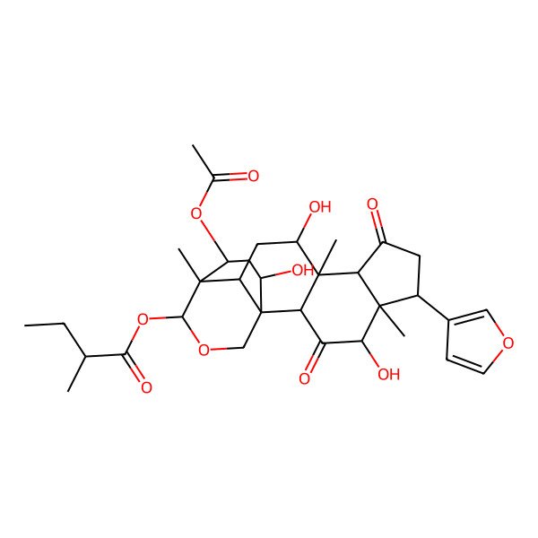 2D Structure of [(1S,2S,4R,5S,6S,9S,10S,11R,13R,14S,15S,18S,20R)-20-acetyloxy-6-(furan-3-yl)-4,11,18-trihydroxy-5,10,14-trimethyl-3,8-dioxo-16-oxapentacyclo[12.3.3.01,13.02,10.05,9]icosan-15-yl] 2-methylbutanoate