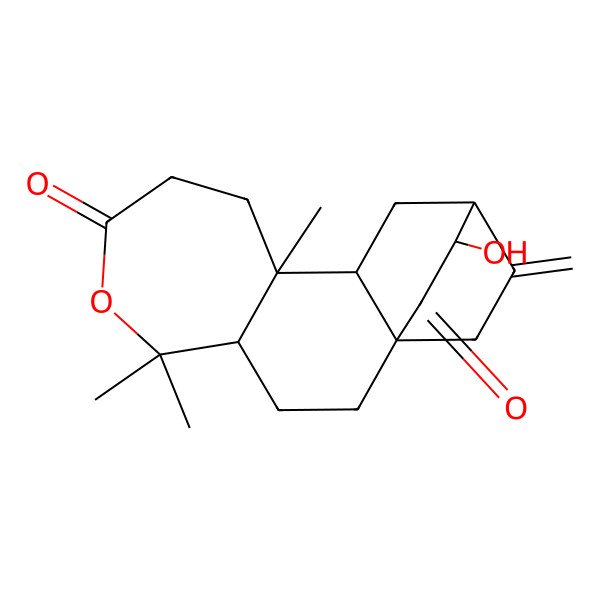 2D Structure of (1S,4S,10S,11S,13S,14S)-14-hydroxy-5,5,10-trimethyl-17-methylidene-6-oxatetracyclo[11.2.2.01,11.04,10]heptadecane-7,15-dione