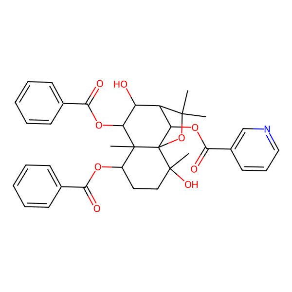 2D Structure of [(1S,2S,5S,6S,7S,8S,9R,12R)-5,7-dibenzoyloxy-2,8-dihydroxy-2,6,10,10-tetramethyl-11-oxatricyclo[7.2.1.01,6]dodecan-12-yl] pyridine-3-carboxylate