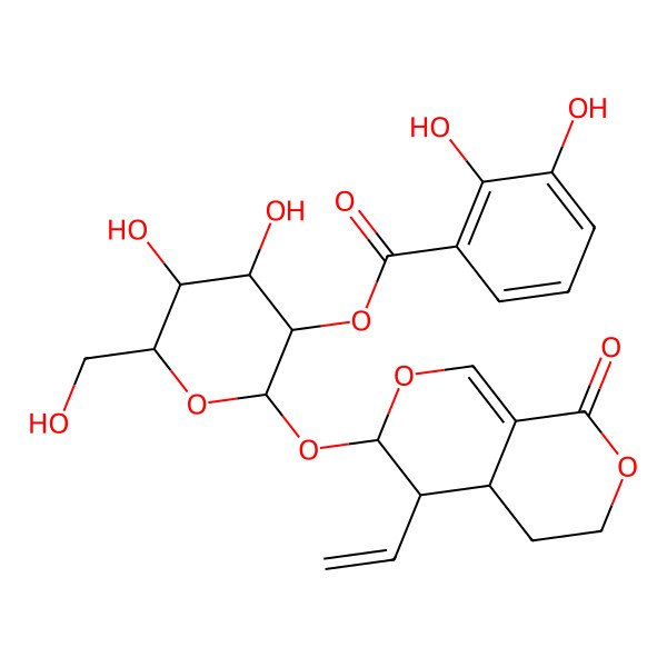 2D Structure of [(2S,3R,4S,5S,6R)-2-[[(3S,4R,4aS)-4-ethenyl-8-oxo-4,4a,5,6-tetrahydro-3H-pyrano[3,4-c]pyran-3-yl]oxy]-4,5-dihydroxy-6-(hydroxymethyl)oxan-3-yl] 2,3-dihydroxybenzoate