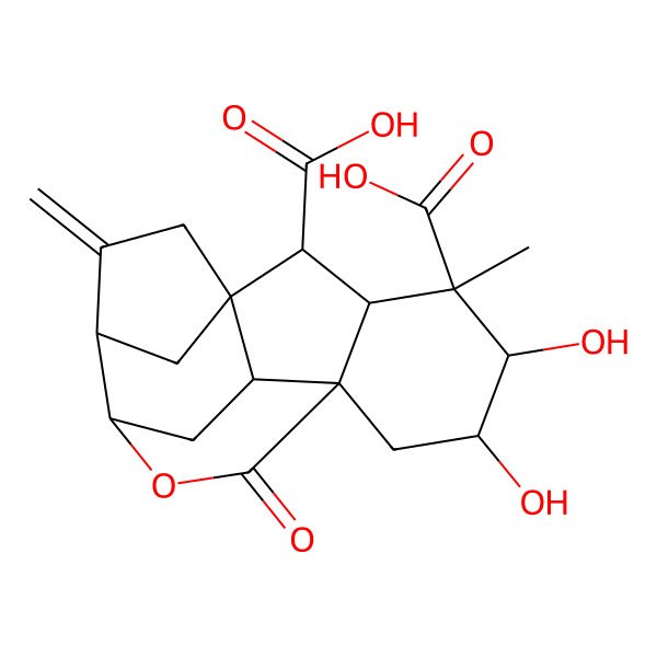 2D Structure of (1R,2S,3S,4S,5R,6S,8R,11S,12R,15R)-5,6-dihydroxy-4-methyl-13-methylidene-9-oxo-10-oxapentacyclo[9.3.2.11,12.03,8.08,15]heptadecane-2,4-dicarboxylic acid