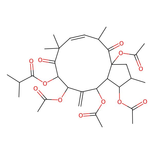 2D Structure of [(1S,2S,3aR,5R,6E,10R,11S,13R,13aR)-1,3a,11,13-tetraacetyloxy-2,5,8,8-tetramethyl-12-methylidene-4,9-dioxo-1,2,3,5,10,11,13,13a-octahydrocyclopenta[12]annulen-10-yl] 2-methylpropanoate