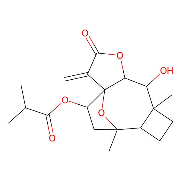 2D Structure of (6-Hydroxy-7,11-dimethyl-2-methylidene-3-oxo-4,14-dioxatetracyclo[9.2.1.01,5.07,10]tetradecan-13-yl) 2-methylpropanoate