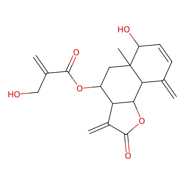 2D Structure of Loloanolide B