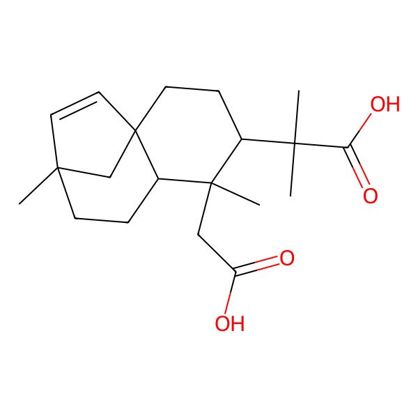 2D Structure of 2-[(1S,4R,5S,6S,9S)-5-(carboxymethyl)-5,9-dimethyl-4-tricyclo[7.2.1.01,6]dodec-10-enyl]-2-methylpropanoic acid