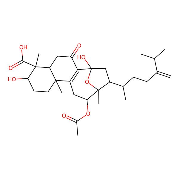 2D Structure of 13-Acetyloxy-1,7-dihydroxy-6,10,14-trimethyl-15-(6-methyl-5-methylideneheptan-2-yl)-3-oxo-17-oxatetracyclo[12.2.1.02,11.05,10]heptadec-2(11)-ene-6-carboxylic acid