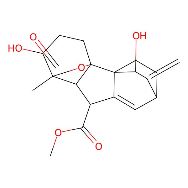 2D Structure of methyl (1S,2R,3S,5R,8S,9R,10S,11S)-3,11-dihydroxy-10-methyl-4-methylidene-15-oxo-14-oxapentacyclo[8.3.2.22,5.01,9.02,7]heptadec-6-ene-8-carboxylate