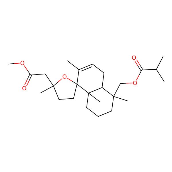 2D Structure of [(1R,4aS,5R,5'S,8aS)-5'-(2-methoxy-2-oxoethyl)-1,4a,5',6-tetramethylspiro[3,4,8,8a-tetrahydro-2H-naphthalene-5,2'-oxolane]-1-yl]methyl 2-methylpropanoate