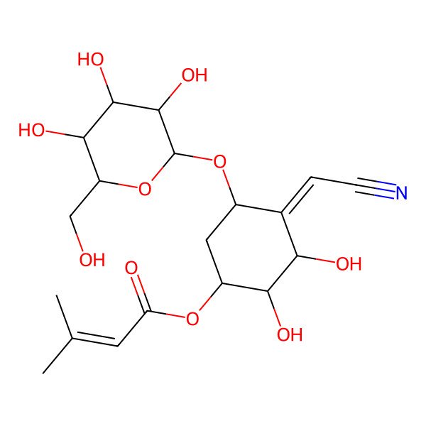 2D Structure of [(1S,2R,3S,4Z,5R)-4-(cyanomethylidene)-2,3-dihydroxy-5-[(2R,3R,4S,5S,6R)-3,4,5-trihydroxy-6-(hydroxymethyl)oxan-2-yl]oxycyclohexyl] 3-methylbut-2-enoate