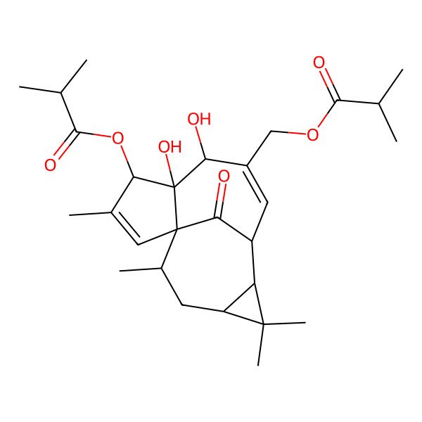 2D Structure of [5,6-Dihydroxy-3,11,11,14-tetramethyl-4-(2-methylpropanoyloxy)-15-oxo-7-tetracyclo[7.5.1.01,5.010,12]pentadeca-2,7-dienyl]methyl 2-methylpropanoate