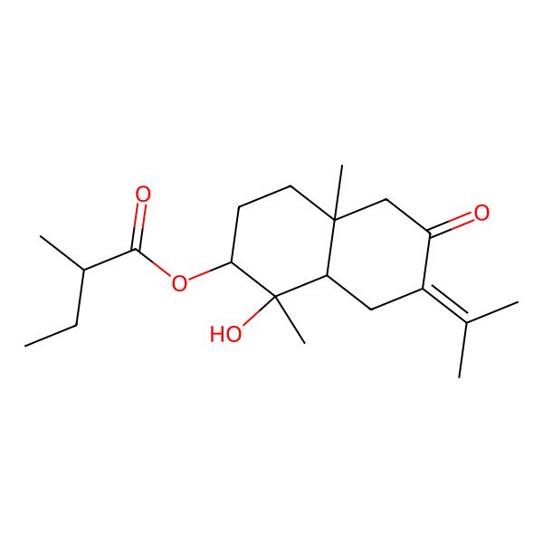 2D Structure of (1-Hydroxy-1,4a-dimethyl-6-oxo-7-propan-2-ylidene-2,3,4,5,8,8a-hexahydronaphthalen-2-yl) 2-methylbutanoate