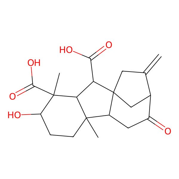 2D Structure of 5-Hydroxy-4,8-dimethyl-13-methylidene-11-oxotetracyclo[10.2.1.01,9.03,8]pentadecane-2,4-dicarboxylic acid