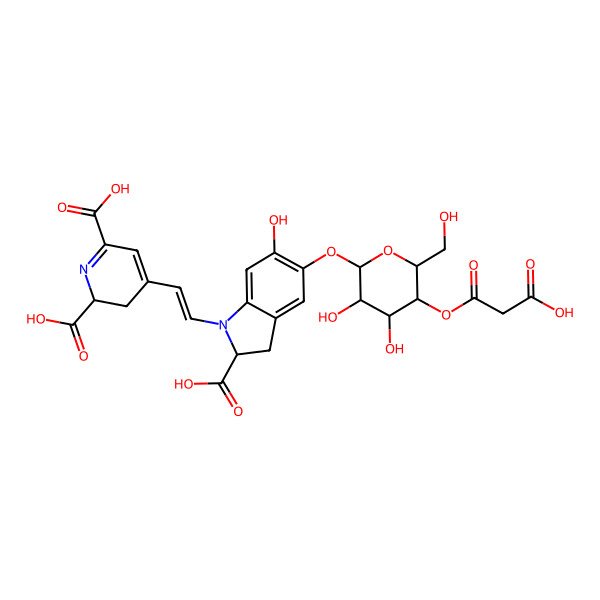 2D Structure of (2S)-4-[(E)-2-[(2S)-2-carboxy-5-[(2S,3R,4R,5S,6R)-5-(2-carboxyacetyl)oxy-3,4-dihydroxy-6-(hydroxymethyl)oxan-2-yl]oxy-6-hydroxy-2,3-dihydroindol-1-yl]ethenyl]-2,3-dihydropyridine-2,6-dicarboxylic acid